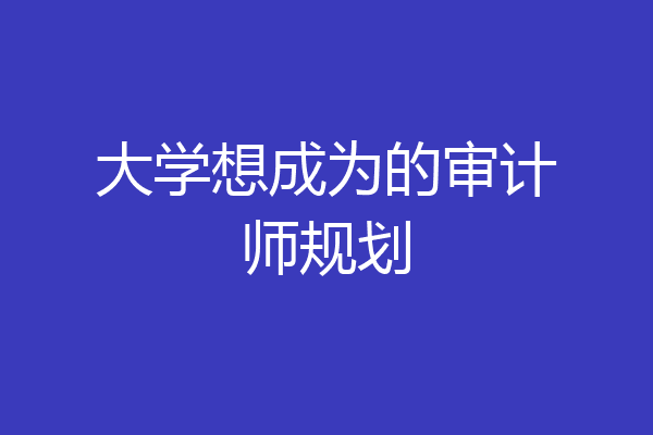 大学想成为的审计师规划