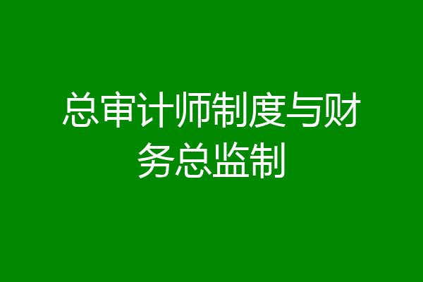 总审计师制度与财务总监制