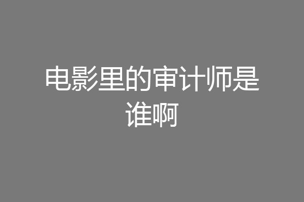 电影里的审计师是谁啊