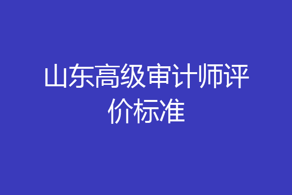 山东高级审计师评价标准