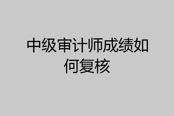中级审计师成绩如何复核