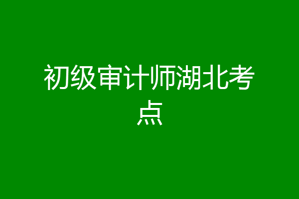 初级审计师湖北考点