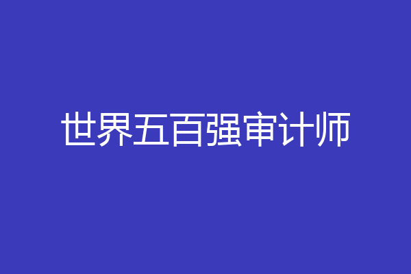 世界五百强审计师