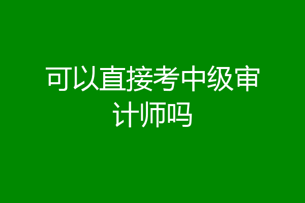 可以直接考中级审计师吗