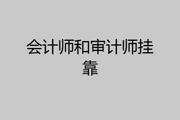 会计师和审计师挂靠