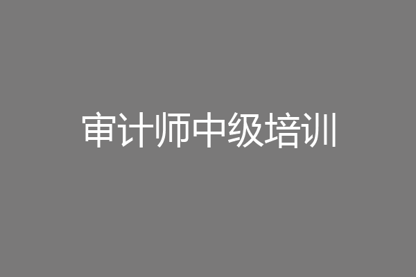审计师中级培训
