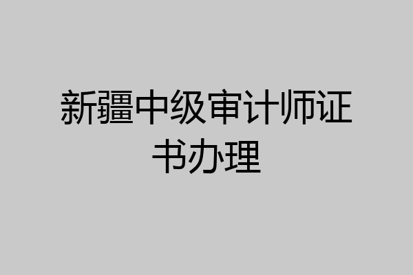 新疆中级审计师证书办理