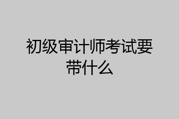 初级审计师考试要带什么