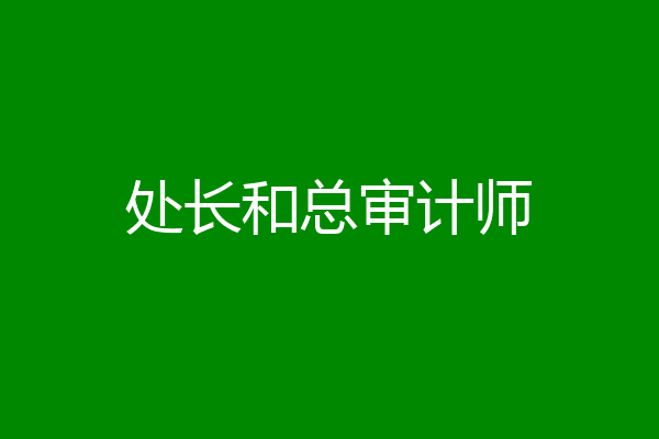 处长和总审计师