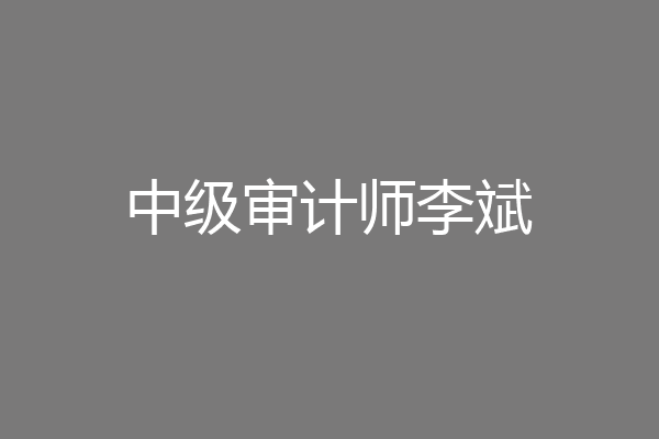 中级审计师李斌
