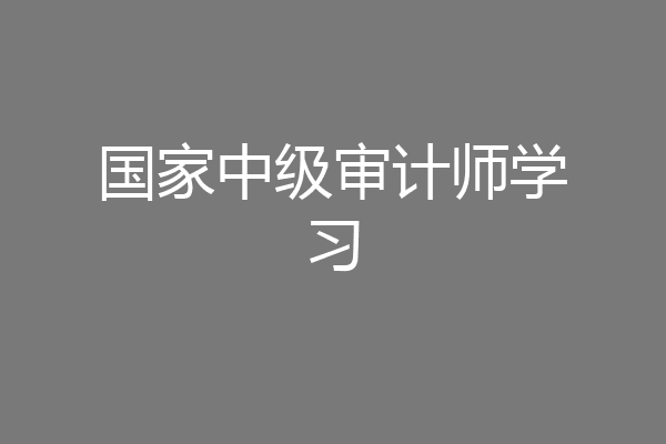 国家中级审计师学习