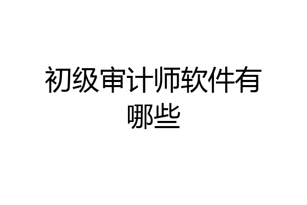 初级审计师软件有哪些