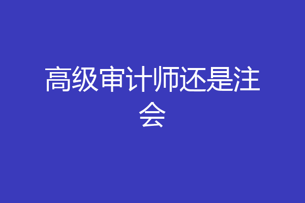 高级审计师还是注会
