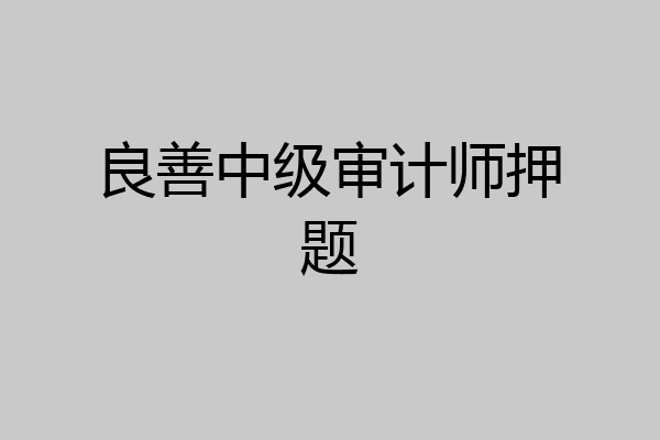 良善中级审计师押题