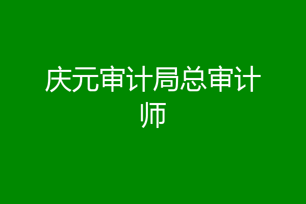 庆元审计局总审计师
