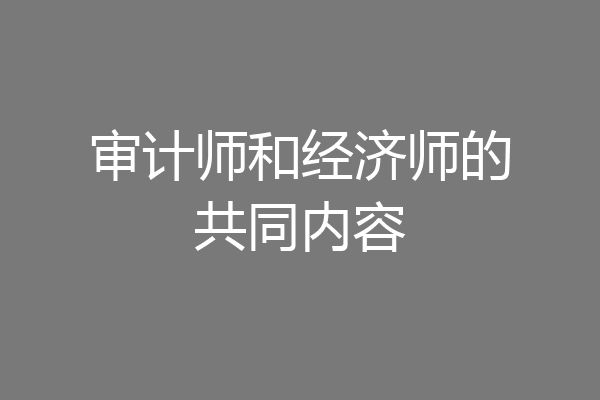 审计师和经济师的共同内容