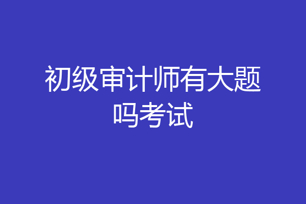 初级审计师有大题吗考试