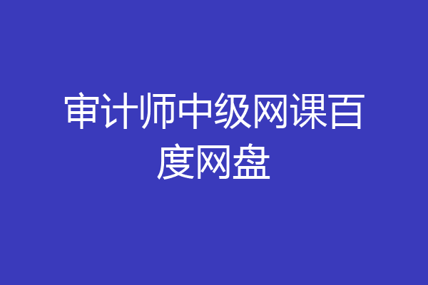 审计师中级网课百度网盘