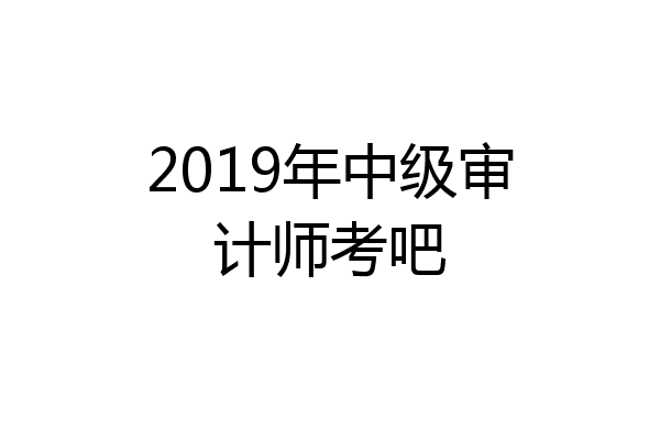 2019年中级审计师考吧