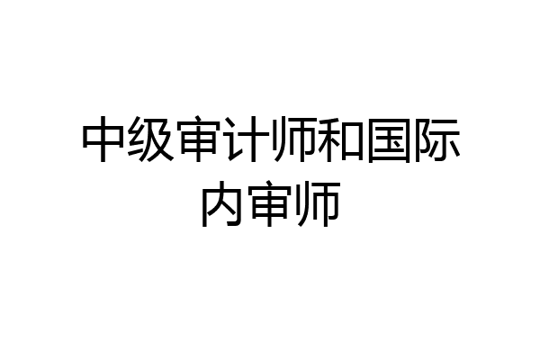 中级审计师和国际内审师