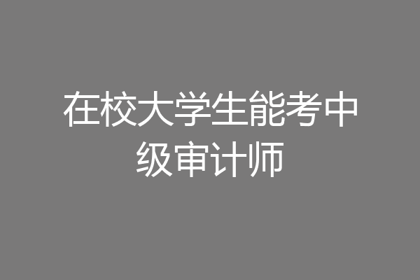 在校大学生能考中级审计师