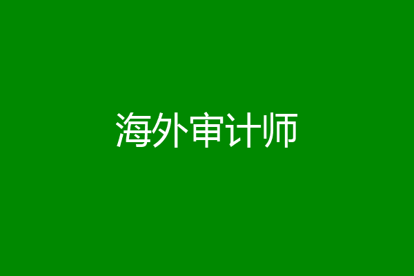 海外审计师