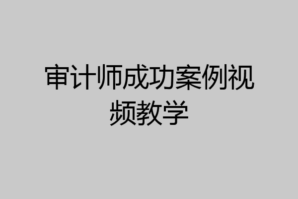 审计师成功案例视频教学