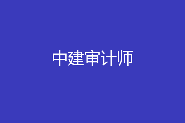 中建审计师