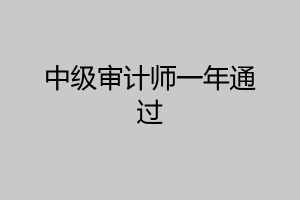 中级审计师一年通过