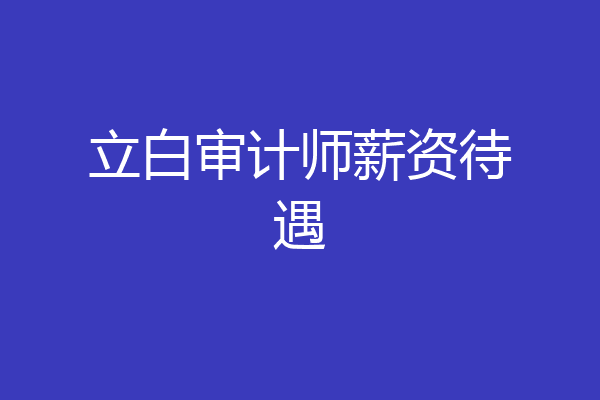 立白审计师薪资待遇