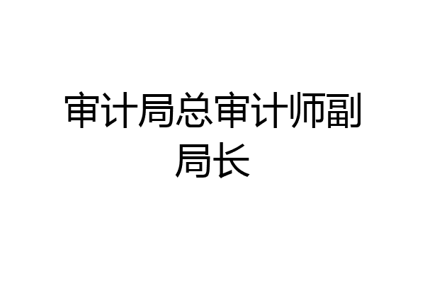 审计局总审计师副局长