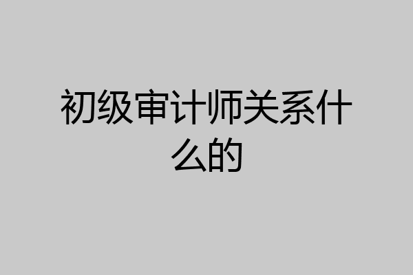 初级审计师关系什么的