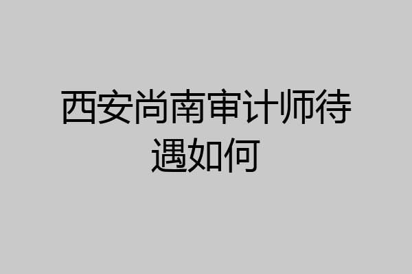 西安尚南审计师待遇如何