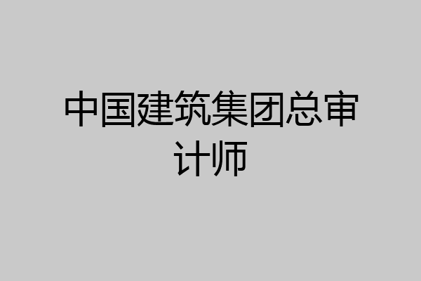 中国建筑集团总审计师