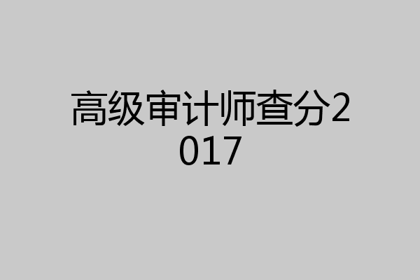 高级审计师查分2017