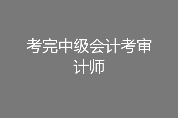 考完中级会计考审计师