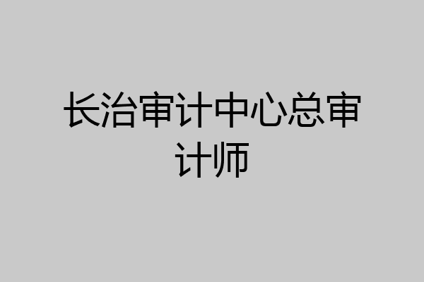 长治审计中心总审计师