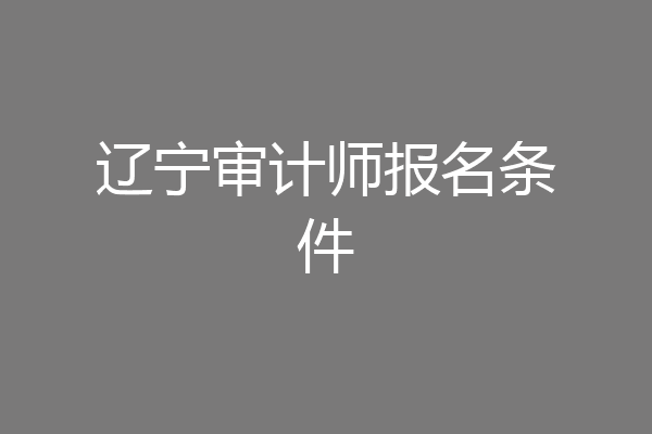 辽宁审计师报名条件