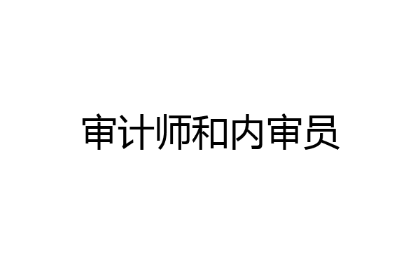 审计师和内审员