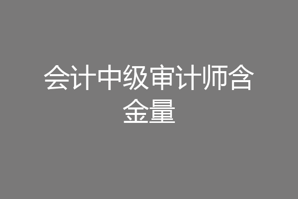 会计中级审计师含金量