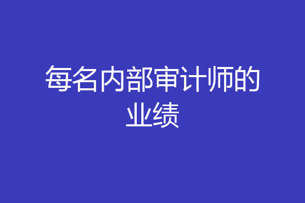 每名内部审计师的业绩
