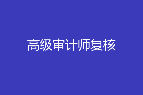 高级审计师复核