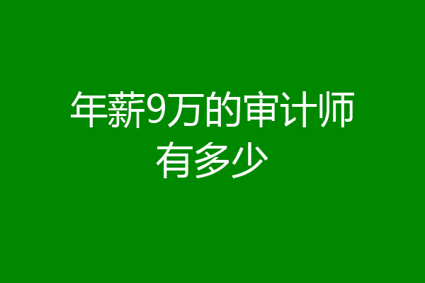 年薪9万的审计师有多少