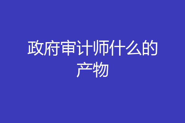 政府审计师什么的产物