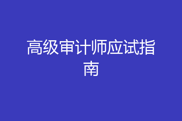 高级审计师应试指南