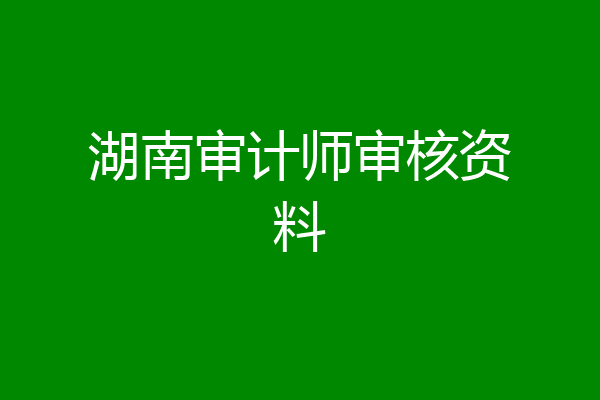 湖南审计师审核资料