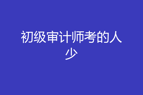 初级审计师考的人少