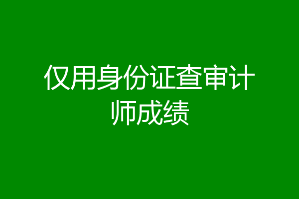 仅用身份证查审计师成绩