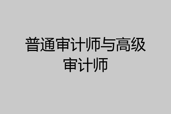 普通审计师与高级审计师