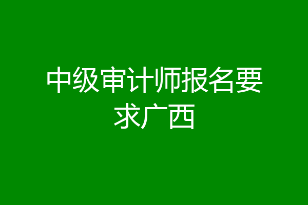 中级审计师报名要求广西